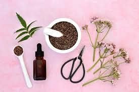 Organic Premium Valerian Root Cut Sifted 2oz The Bloomin Herb Shoppe Valeriana wallichii Fresh Potent Tea Tincture