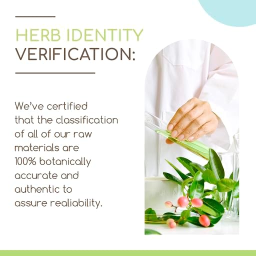 Collinsonia B120 Alcohol-Free Herbal Extract Tincture, Wildcrafted Stoneroot (Collinsonia Canadensis) Dried Root (4 fl oz)
