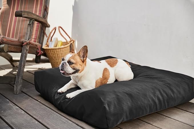 K9 Ballistics Tough Rectangle Pillow Small Dog Bed - Removable Cover, Washable, Durable & Water Resistant Dog Bed Made for Small Dogs 24"x18" Light Gray Velvet