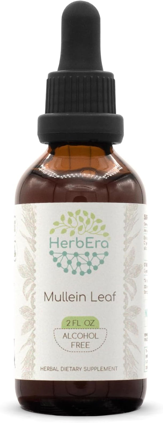 Mullein Leaf B60 Alcohol-Free Herbal Extract Tincture, Super-Concentrated Mullein (Verbascum thapsus) Dried Leaf (2 fl oz)