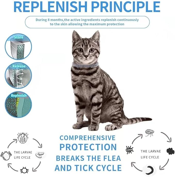 Flea Collar for Cats, Flea and Tick Collars for Cats and Kittens, 8 Month Protection, Gray, 1 Pack CAT