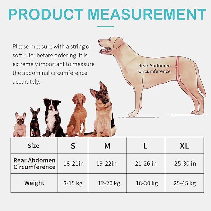Dog Lift Harness for Extra Large Dogs – Hind Leg Support with Chest Stabilizer Straps, Adjustable Elastic and Buckles, Helps with Hip Dysplasia, Joint Pain, and Mobility, Easy to Wear, XL
