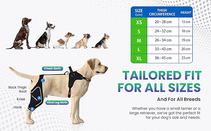 Dog ACL Knee Brace for Back Left Leg - with Integrated Harness - for Cruciate Ligament Injuries, Patellar Luxation, Post-Surgery Recovery. Durable, Breathable Material, Eases Pain - (Large)