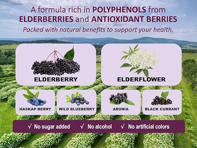 Immunia Fusion - Enhance Your Immune Support. A Powerful Formula Made with elderberries, elderflowers, and Blue Fruits Rich in polyphenols. A Concentrated antioxidant Formula. (1-Pack)