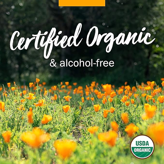 Herb Pharm Certified Organic Elder Liquid Extract - 1 Ounce (Pack of 2)