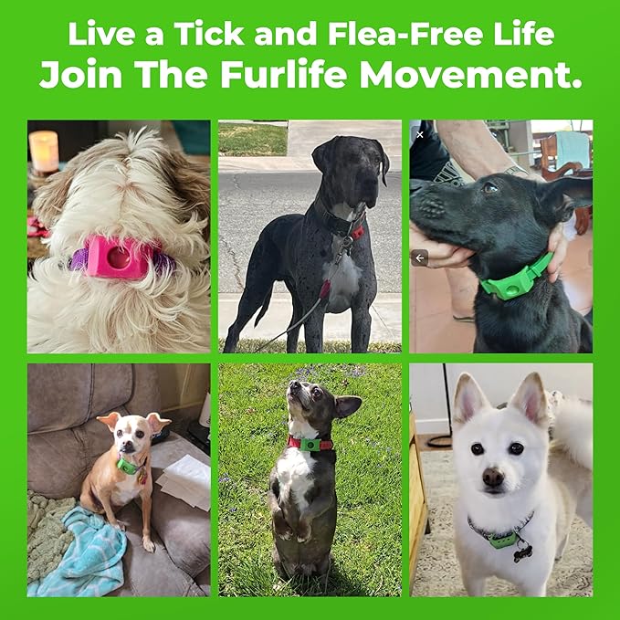 FurLife Grey Dog Tag, Flea and Tick Prevention for Dogs - Waterproof Pendant for Collar, Safe for All Breeds