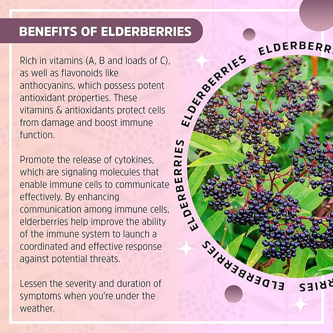 Herbal Supplement Starter Set – A 16oz Bottle of Elderberry Syrup with Maple & a 2oz Bottle of Elderberry to-Go Immune Booster Made from Only Organic Ingredients in The USA