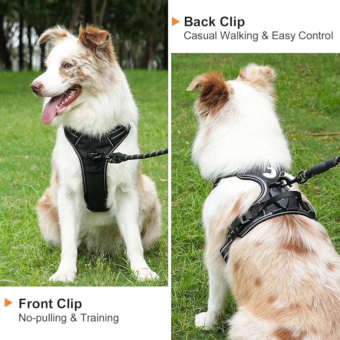 Taglory Light Up Dog Harness, Rechargeable No Pull Dog Vest with 3 Lightning Modes, Reflective Dog Harness with 2 Leash Clips & 4 Adjustable Slide Strips for Medium Dogs, Black-Purple, M