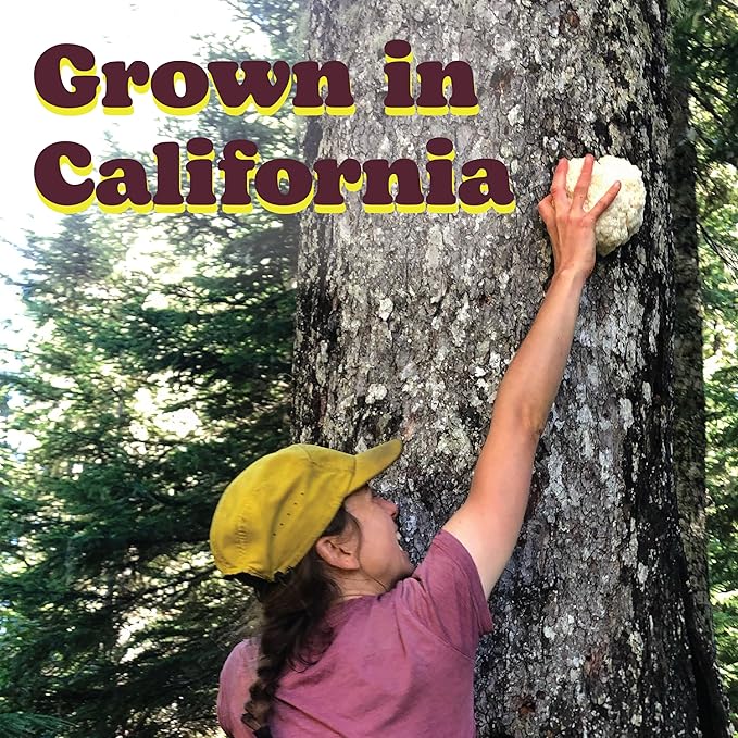 Wilderness Poets, Organic Lions Mane Mushroom Powder - California Grown (3.5 Ounce)